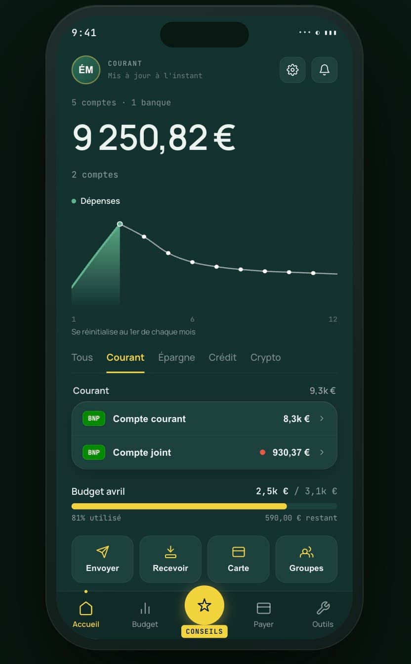 Écran agrégateur OXYPAY